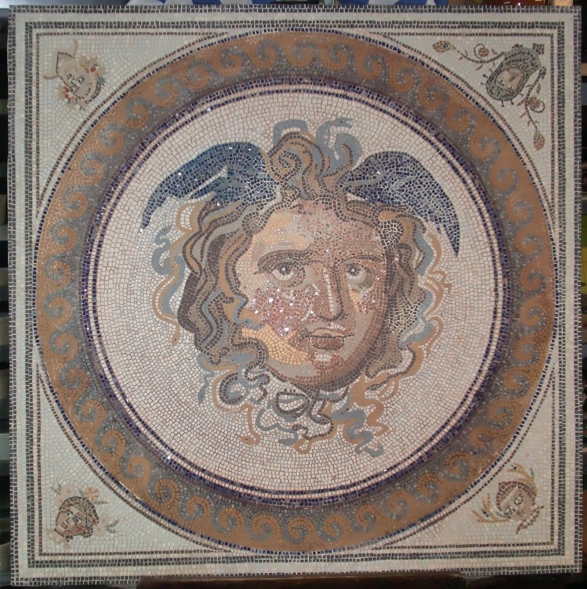 Medusa